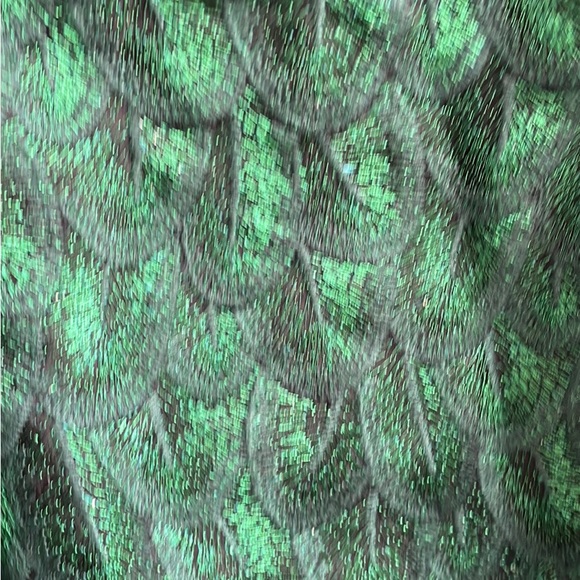 Peacock embroidered mini dress - Picture 4 of 4